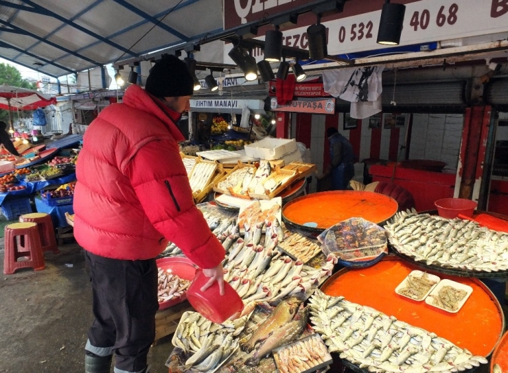 2017’de Balıkçılar Denizi Adeta Kuruttu