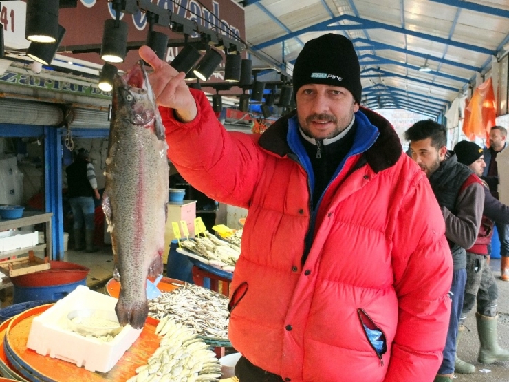 2017’de Balıkçılar Denizi Adeta Kuruttu