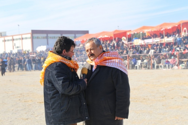 Burhaniye’de ’Zeytin Ve Zeytinyağı Hasat Festivali’