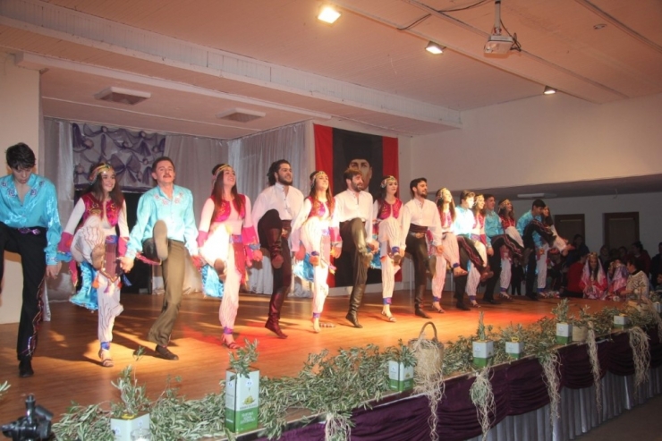 Burhaniye’de ’Zeytin Ve Zeytinyağı Hasat Festivali’