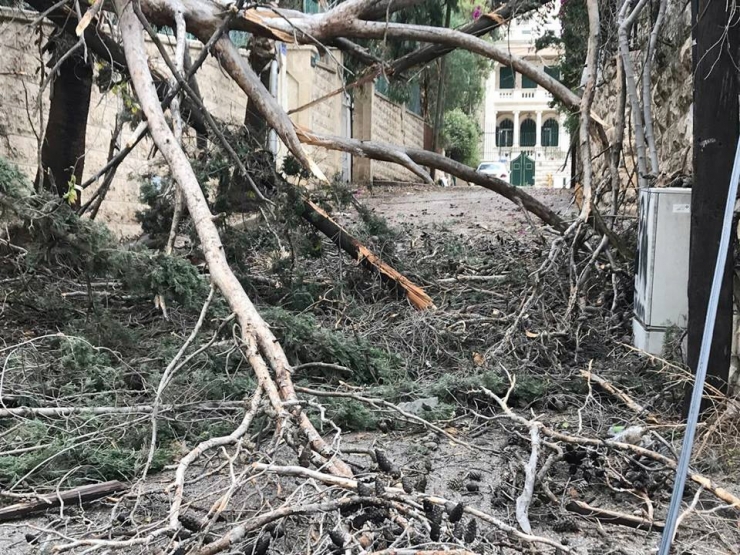 Filistin’de Şiddetli Yağış Ve Fırtına Ağaçları Devirdi