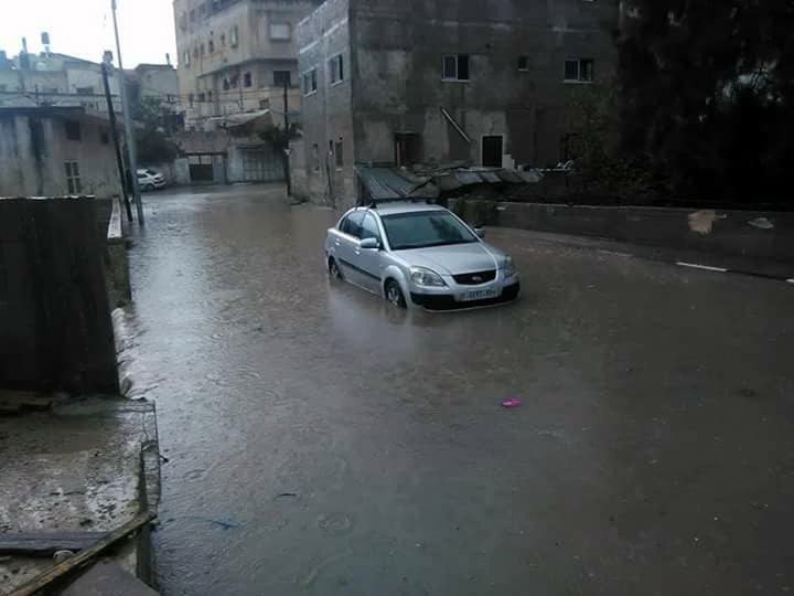 Filistin’de Şiddetli Yağış Ve Fırtına Ağaçları Devirdi