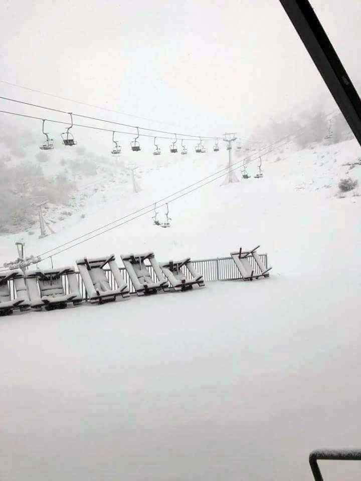 Filistin’de Şiddetli Yağış Ve Fırtına Ağaçları Devirdi