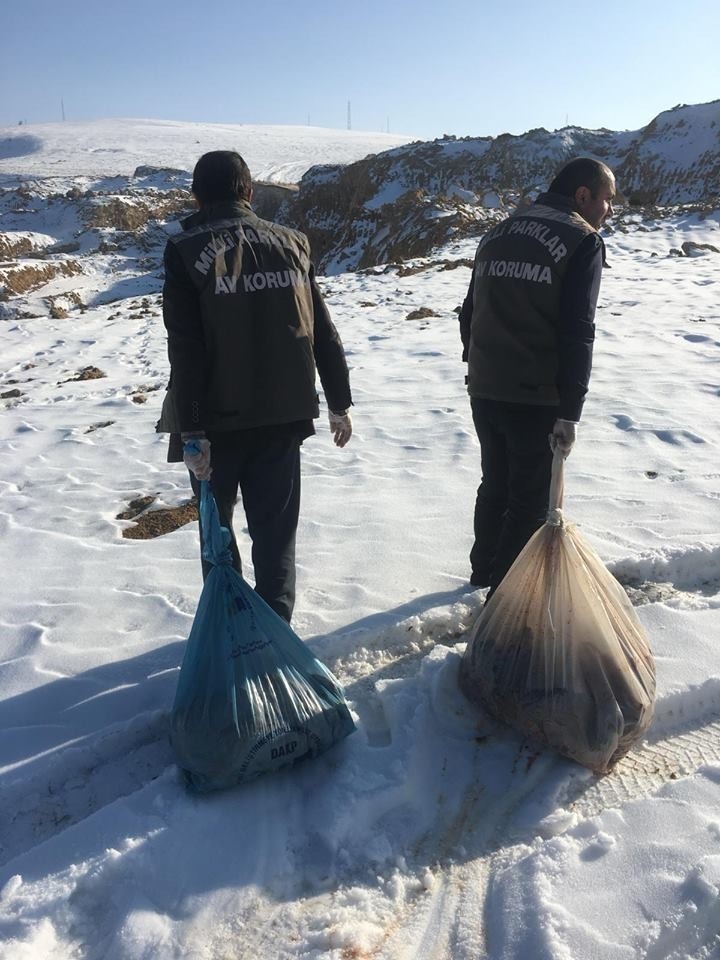 Van’da Sokak Hayvanlarına Yem Desteği