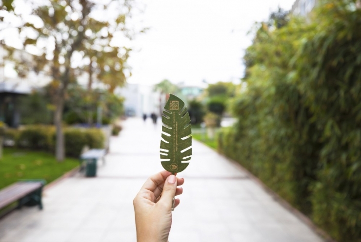 Teşekkür Belgeleri Ağaçlara Dönüşüyor