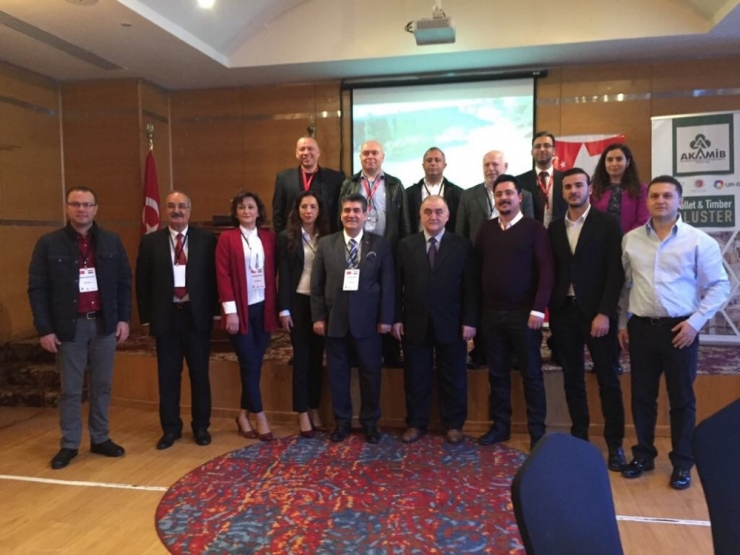 Kereste-palet Urge Firmaları Mısır Pazarında