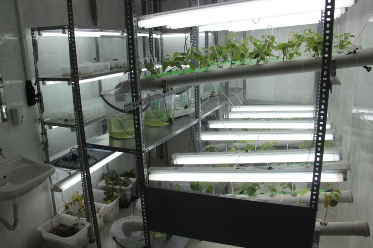 Doku Kültürüyle Firmaların Kayıpları Azalacak