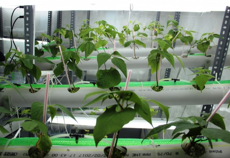 Doku Kültürüyle Firmaların Kayıpları Azalacak