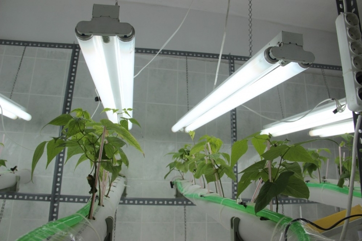 Doku Kültürüyle Firmaların Kayıpları Azalacak