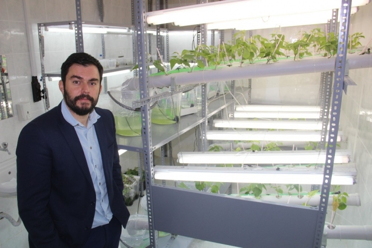 Doku Kültürüyle Firmaların Kayıpları Azalacak