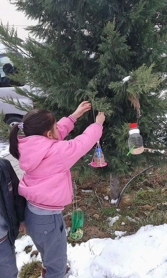 20 Bin Öğrenci Kuşlar İçin Seferber Oldu