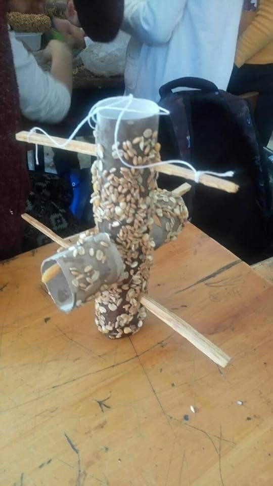 20 Bin Öğrenci Kuşlar İçin Seferber Oldu