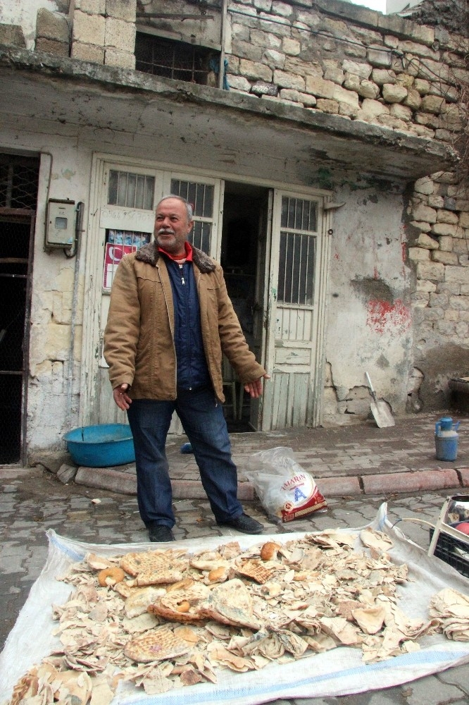 Kuru Ekmekler Hayvan Yemi Oluyor