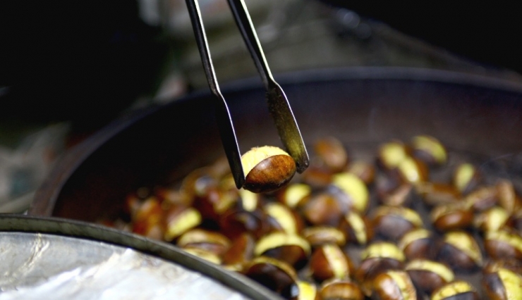 Bir Kış Klasiği “Kestane”