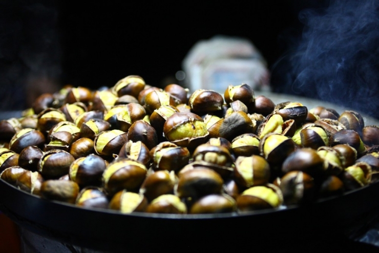 Bir Kış Klasiği “Kestane”