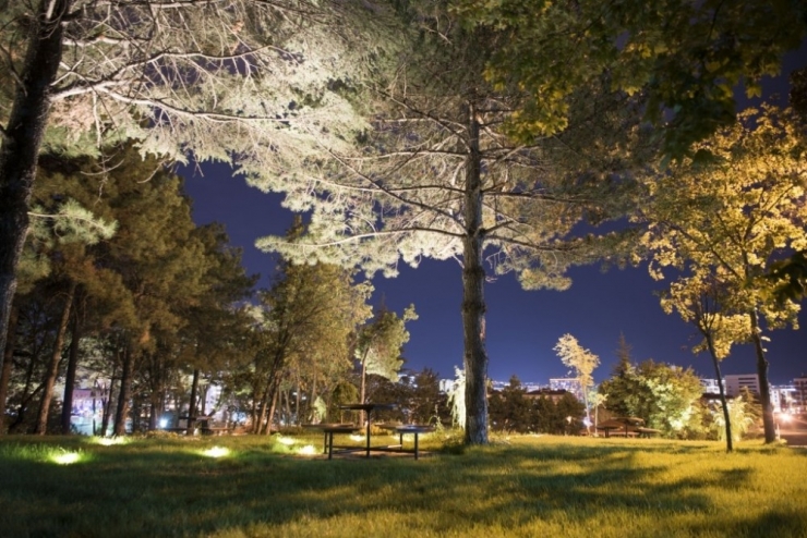 Anadolu Üniversitesi Daha Yeşil Kampüsler İçin Çalışmalarını Sürdürüyor