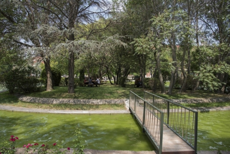 Anadolu Üniversitesi Daha Yeşil Kampüsler İçin Çalışmalarını Sürdürüyor