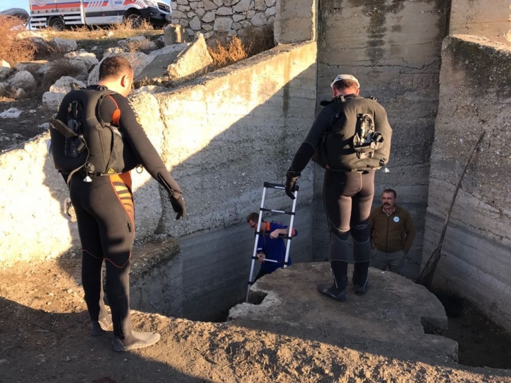 Burdur’da Su Kanalında Mahsur Kalan45 Karabatak Kurtarıldı