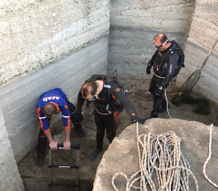 Burdur’da Su Kanalında Mahsur Kalan45 Karabatak Kurtarıldı