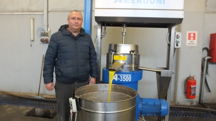 Zeytinyağında Bereket Ve Kalite Yılı