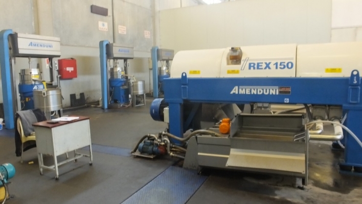 Zeytinyağında Bereket Ve Kalite Yılı