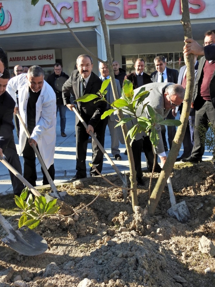 Çeşme’de Hastane Bahçesi Yeşillendirildi