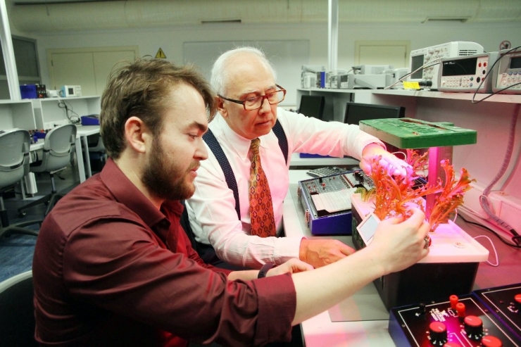 Topraksız Teknolojik Tarım Devri Başlıyor