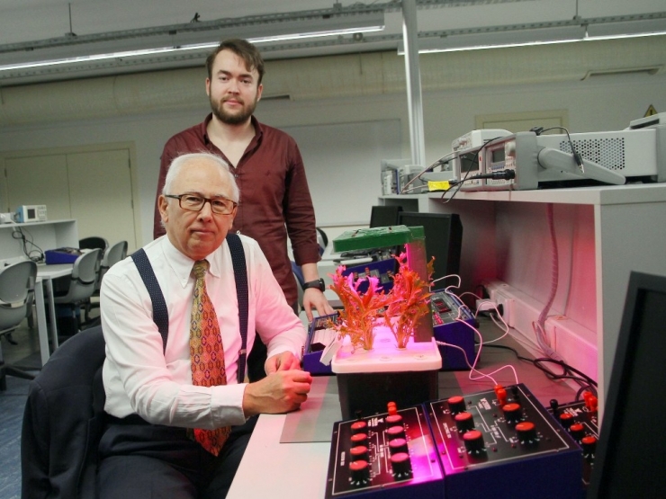 Topraksız Teknolojik Tarım Devri Başlıyor