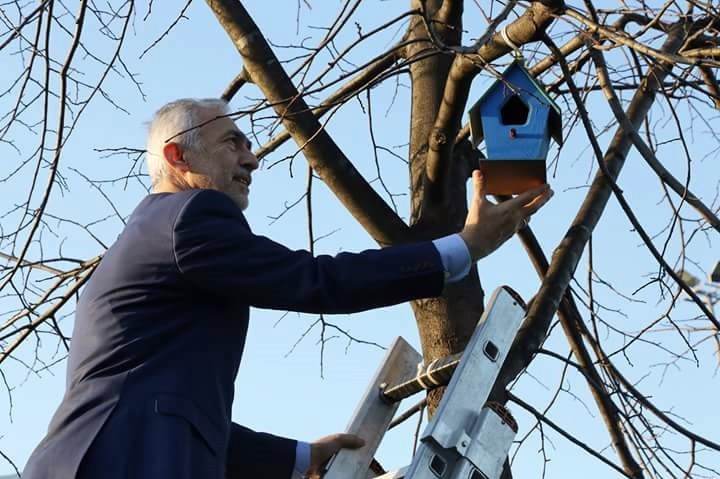 Kağıthaneli Çocuklar İlçedeki Ağaçlara Kuş Yuvaları Astı