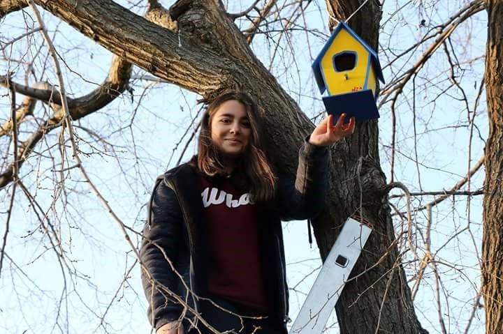 Kağıthaneli Çocuklar İlçedeki Ağaçlara Kuş Yuvaları Astı