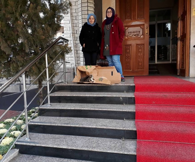 Ayakları Kırılan Yavru Kediye Öğrenciler Sahip Çıktı