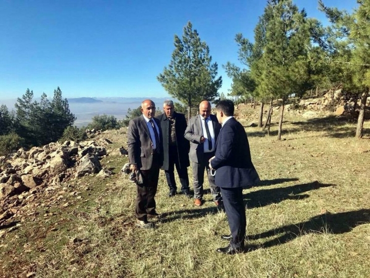 Bal Ormanı Kuruluyor