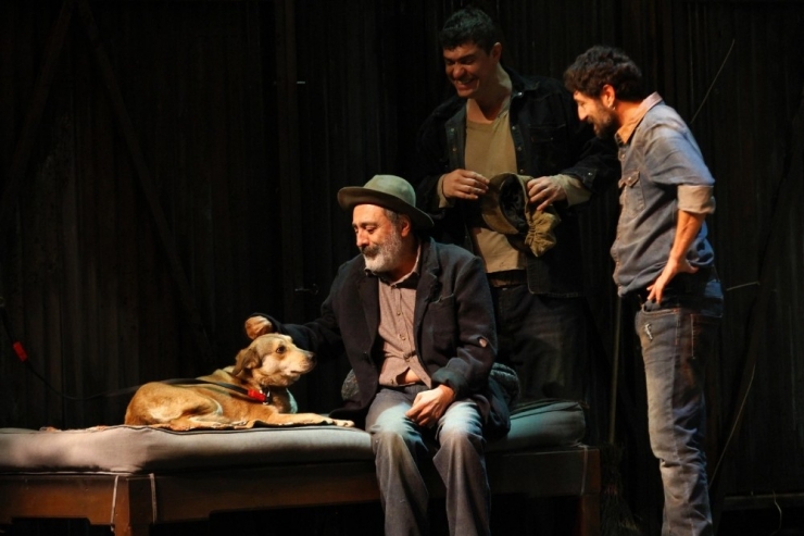 Hayvan Barınağından Tiyatro Sahnesine