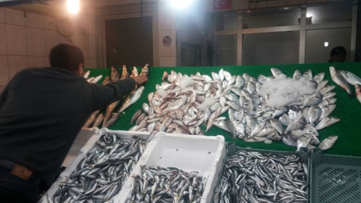 Siirt’te Balık Çeşitlerine Rağbet Artıyor