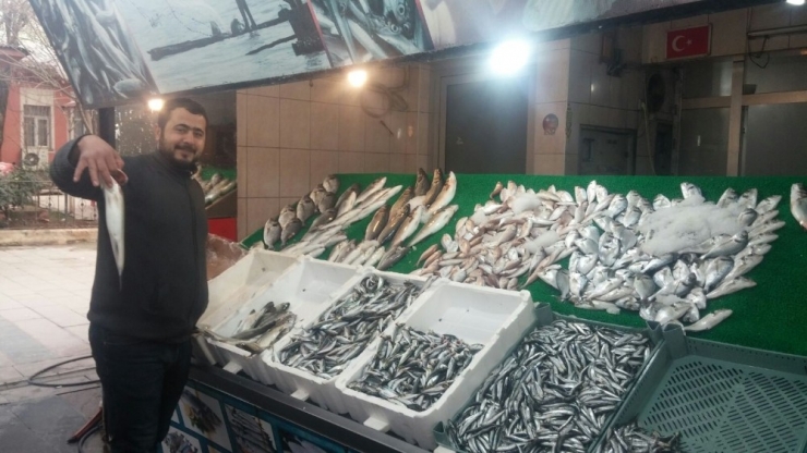 Siirt’te Balık Çeşitlerine Rağbet Artıyor