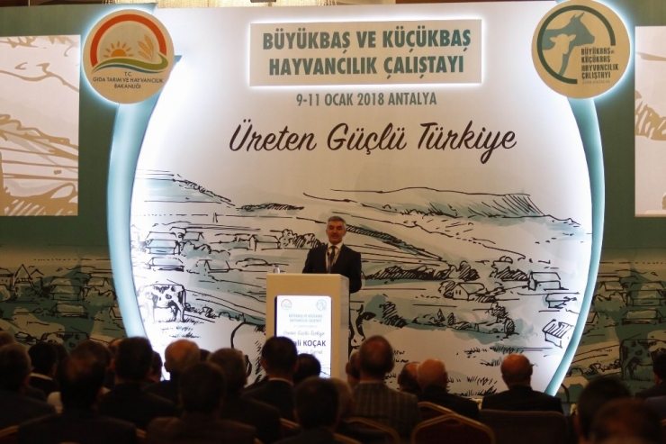Koçak: "Hayvancılık Sektörünün Önü Açık"