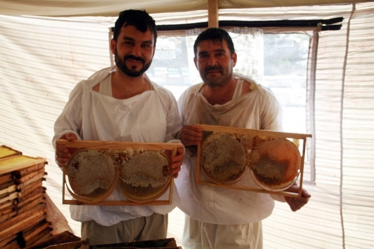 Balder Başkanı Çalca’dan Açıklama: Balın Aracı Olamadan Tüketiciye Ulaşmasını Arzuluyoruz