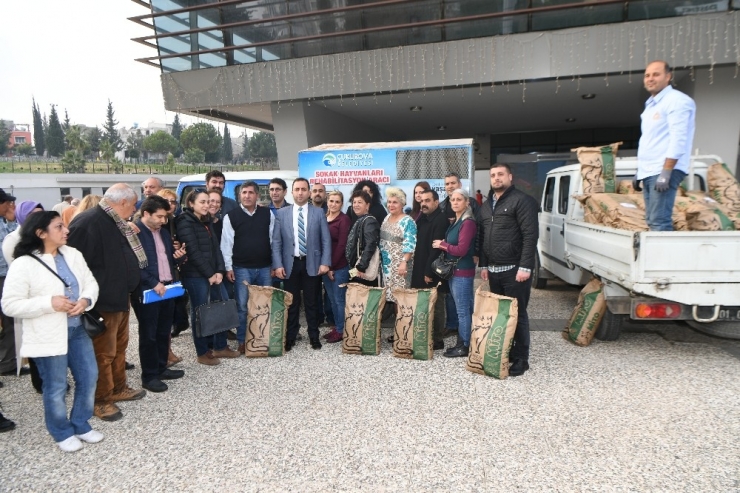 Çukurova Belediyesi’nden Kedilere Her Ay Mama