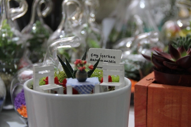 Romantiklerin Yeni Tercihi ’Kaktüs Teraryum Saksısı’