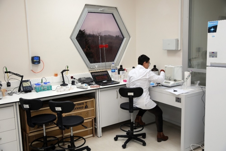 ’Bal’lı Kazanç Dönemi Bitti