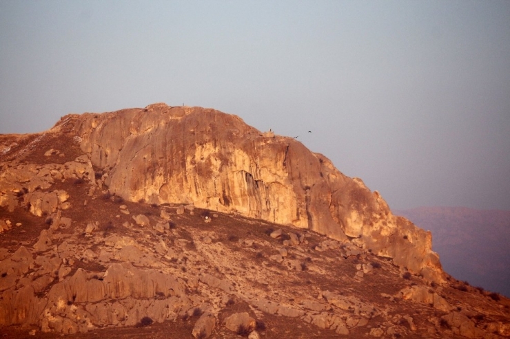 Van Gölü Havzası’nda Sulama Ve İçme Suyu Tehlikesi
