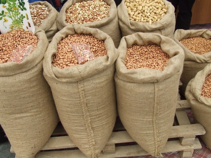 Osmaniye Yerfıstığında Kalite Standartları Arttırılıyor