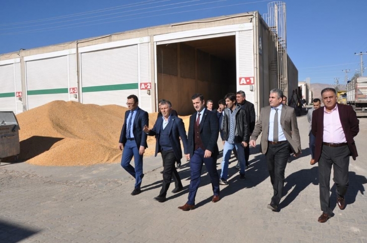 Mardin Gıda Tarım Ve Hayvancılık İl Müdürü Elçin’den Kızıltepe Hububat Ticaret Merkezine Ziyaret