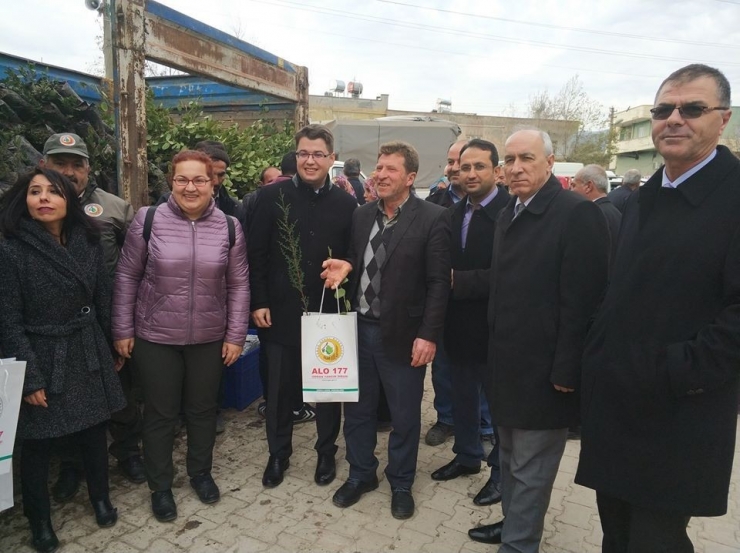 Perşembe Pazarında Fidan Dağıtımı