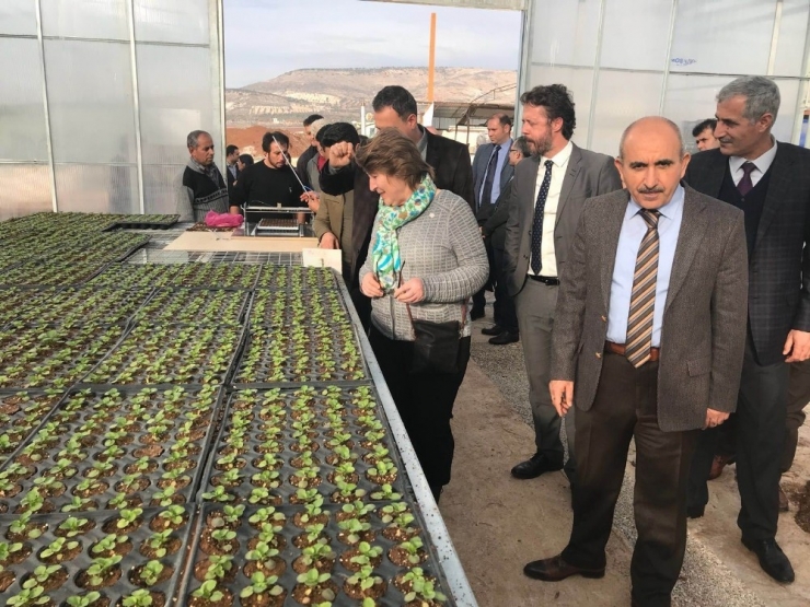 Bm Ve Undp’nin Türkiye Temsilcisinden Kilis’e Ziyaret