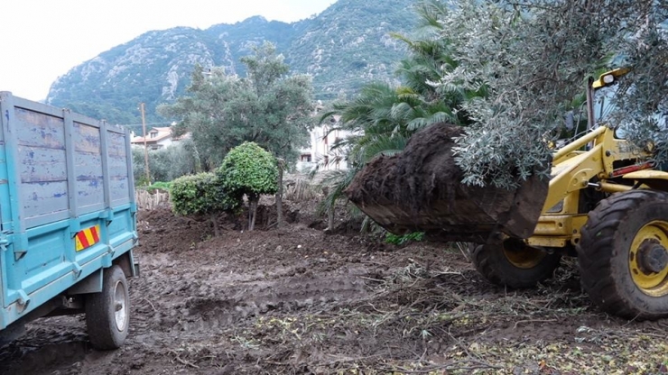 Marmaris Belediyesi Bahçe Atıklarından Gübre Üretti