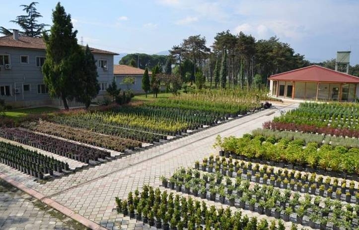 Samsun’da 326 Bin Fidan Dikildi