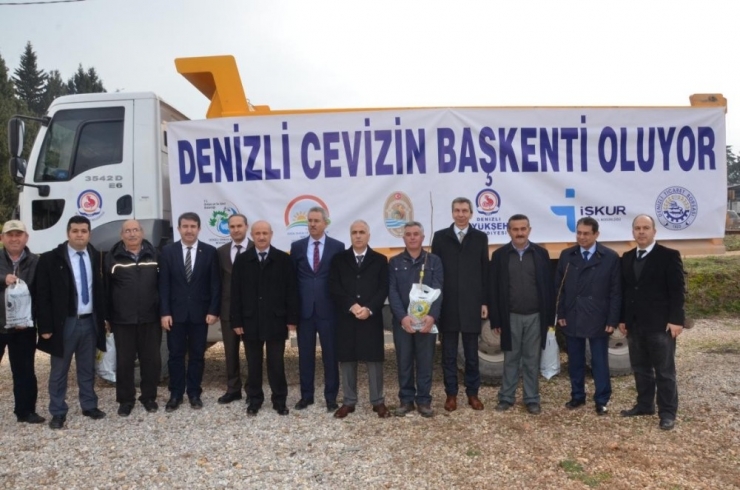 Denizli’de 20 Bin Adet Ceviz Fidanı Dağıtıldı