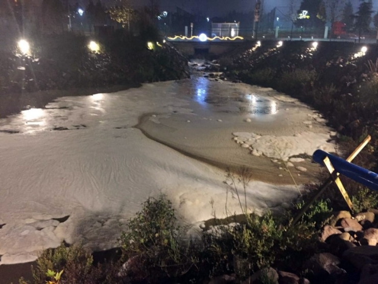 Safran Çayı Yine Aynı Kabusu Yaşadı