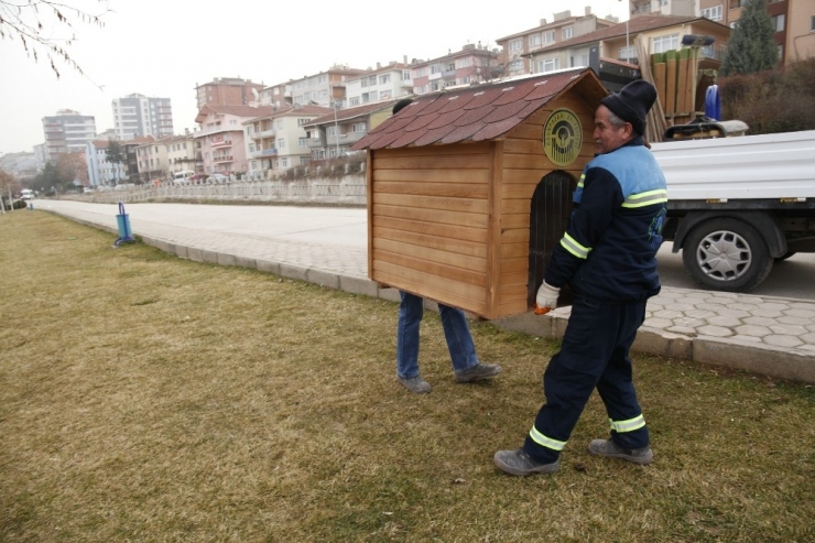 Sokaktaki Dostların Evleri Çoğalıyor